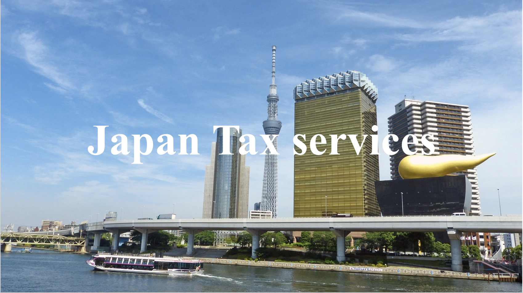 Japan Tax services
